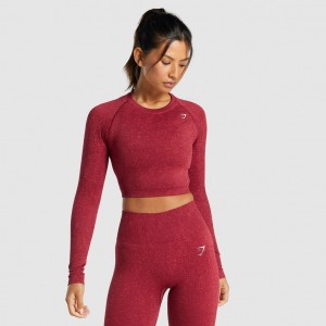μπλουζακια Gymshark Adapt Fleck Seamless Long Sleeve Crop Mineral | 820WDPRMK