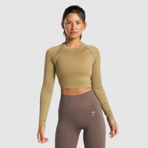 μπλουζακια Gymshark Adapt Fleck Seamless Long Sleeve Crop Mineral | 349JXKAIG