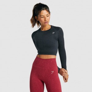 μπλουζακια Gymshark Adapt Fleck Seamless Long Sleeve Crop Mineral | 512LABKFT