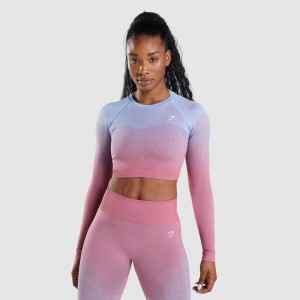 μπλουζακια Gymshark Adapt Ombre Seamless Long Sleeve Crop ροζ ροζ ανοιχτο μπλε | 925LUDBOP