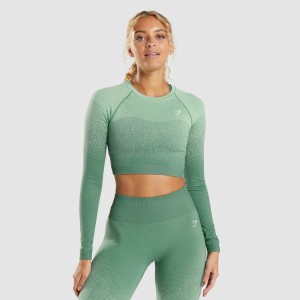 μπλουζακια Gymshark Adapt Ombre Seamless Long Sleeve Crop πρασινο ανοιχτο πρασινο | 671XRKSTV