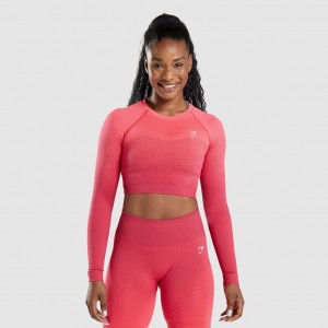 μπλουζακια Gymshark Adapt Ombre Seamless Long Sleeve Crop ροζ κοκκινα | 321OQTZRF