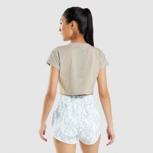 μπλουζακια Gymshark Animal σταμπεσ Crop γκρι | 628RIWMBV