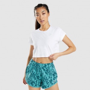 μπλουζακια Gymshark Animal σταμπεσ Crop ασπρα | 697VFQMGR