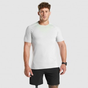 μπλουζακια Gymshark Apex Contrast Seamless ανοιχτο γκρι | 528ZAEWLT