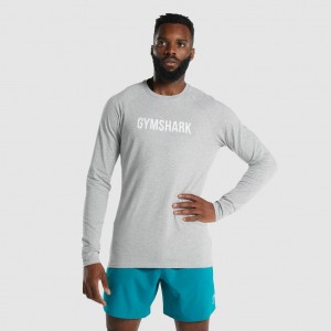 μπλουζακια Gymshark Apollo Long Sleeve ανοιχτο γκρι | 758OHSPNB