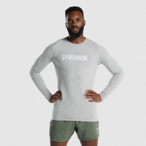μπλουζακια Gymshark Apollo Long Sleeve ανοιχτο γκρι | 965HAJKRM