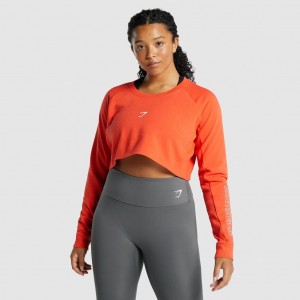 Πουλόβερ Gymshark Apollo σταμπεσ Cropped πορτοκαλι | 187NPRLIX