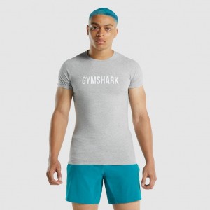 μπλουζακια Gymshark Apollo ανοιχτο γκρι | 831POTYBR