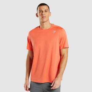 μπλουζακια Gymshark Arrival Regular Fit πορτοκαλι | 354SZQWJR