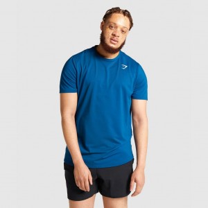 μπλουζακια Gymshark Arrival Regular Fit μπλε | 806HKXETU