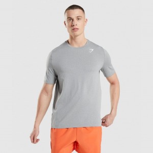 μπλουζακια Gymshark Arrival Seamless γκρι | 062WAZRML