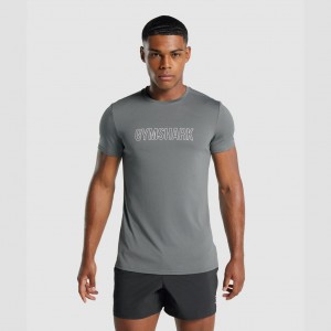 μπλουζακια Gymshark Arrival σταμπεσ Charcoal | 608RJDHYU