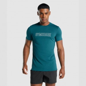 μπλουζακια Gymshark Arrival σταμπεσ Teal | 415UNWCLY