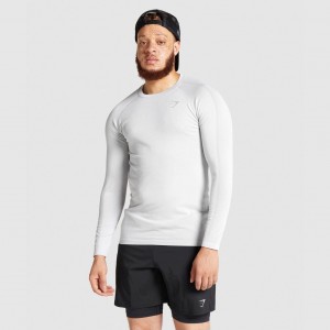 μπλουζακια Gymshark Aspect ελαφρια Seamless Long Sleeve ανοιχτο γκρι | 864LESXJM