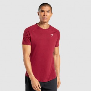 μπλουζακια Gymshark Bold μπορντο | 104QKMEJO