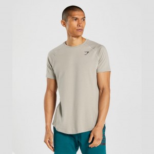 μπλουζακια Gymshark Bold γκρι | 164TEUWOR