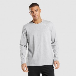 μπλουζακια Gymshark Crest Long Sleeve ανοιχτο γκρι | 875JLKQFC