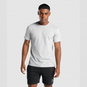 μπλουζακια Gymshark Crest ανοιχτο γκρι | 745DIQJSU