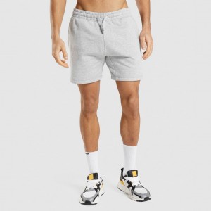 Σορτσ Gymshark Crest ανοιχτο γκρι | 792BTAQLR