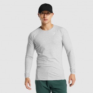 μπλουζακια Gymshark Critical 2.0 Long Sleeve ανοιχτο γκρι | 485ZBETXK