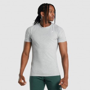 μπλουζακια Gymshark Critical 2.0 ανοιχτο γκρι | 128RJWZYB