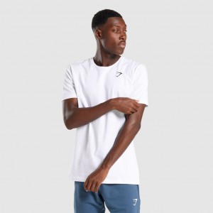 μπλουζακια Gymshark Critical ασπρα | 634VZBOUC
