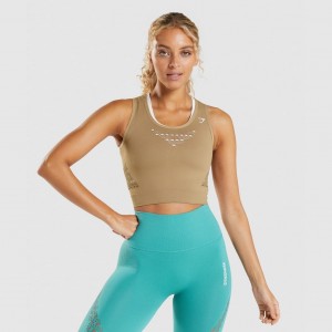 μπλουζακια Gymshark Energy Seamless Crop καφε | 542PBCKWF