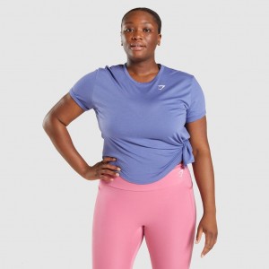 μπλουζακια Gymshark Essential Tee μπλε | 259FUSRXZ