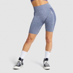 Σορτσ Gymshark Flex Cycling σκουρο μπλε ανοιχτο γκρι | 216IVXRLO
