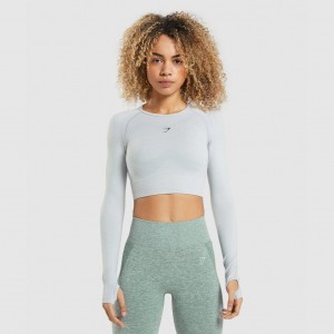μπλουζακια Gymshark Flex Sports Long Sleeve Crop ανοιχτο γκρι | 018MOFCEP