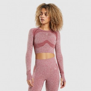 μπλουζακια Gymshark Flex Sports Long Sleeve Crop μπορντο | 014CSABEQ