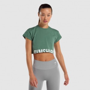 μπλουζακια Gymshark Fraction Crop πρασινο | 064QZCDFY