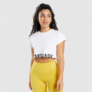 μπλουζακια Gymshark Fraction Crop ασπρα | 190HMZTWU