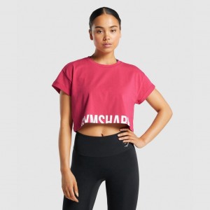 μπλουζακια Gymshark Fraction Crop ροζ | 248USWLXI