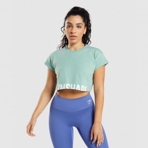 μπλουζακια Gymshark Fraction Crop μπλε | 718REUWCV