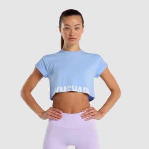 μπλουζακια Gymshark Fraction Crop ανοιχτο μπλε | 347QNWTUG