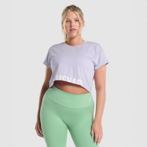 μπλουζακια Gymshark Fraction Crop ανοιχτο μωβ | 467STJGBC
