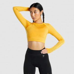 μπλουζακια Gymshark Glow Long Sleeve Seamless Crop κίτρινα | 571OSFWYU