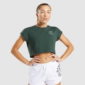 μπλουζακια Gymshark Legacy σταμπεσ Crop σκούρο πρασινο | 278JYLHOG