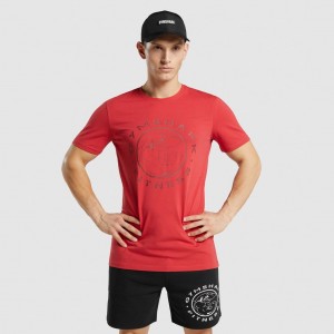 μπλουζακια Gymshark Legacy κοκκινα | 451TUPYBD