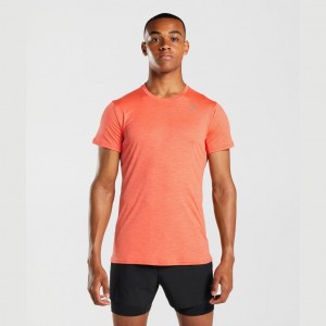 μπλουζακια Gymshark Speed πορτοκαλι | 526TOVMIH
