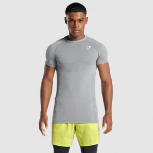 μπλουζακια Gymshark Vital Light Seamless Charcoal Marl | 732FKZVJX