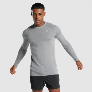 μπλουζακια Gymshark Vital Light Seamless Long Sleeve Charcoal Marl | 529DKHLJA