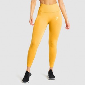 Κολαν Gymshark Vital Rise Seamless κίτρινα | 569EHMVPR