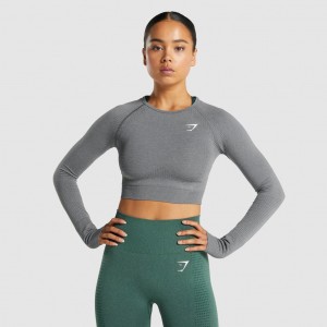 μπλουζακια Gymshark Vital Seamless 2.0 Long Sleeve Crop γκρι | 908DAIXJB