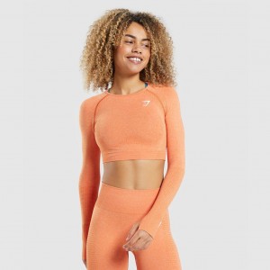 μπλουζακια Gymshark Vital Seamless 2.0 Long Sleeve Crop βερίκοκο πορτοκαλι | 312YSZFQG