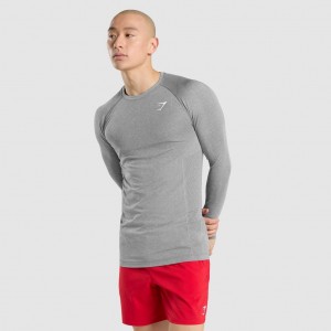 μπλουζακια Gymshark Vital Seamless Long Sleeve Charcoal Marl | 837DVMRLG