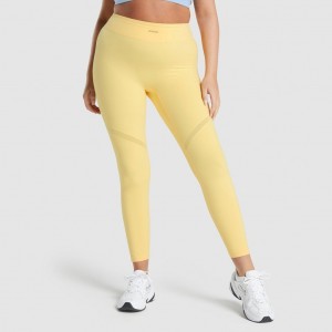 Κολαν Gymshark Whitney Mesh Pollen | 815CORBAL