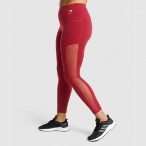 Κολαν Gymshark Αθλητικά Mesh Pocket μπορντο | 341URGXQH
